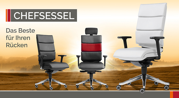 Chefsessel Ergonomisch Sitwell Steifensand